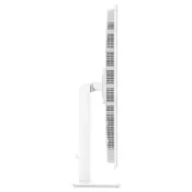 all-white08big