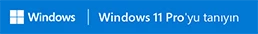 windows-11-pro